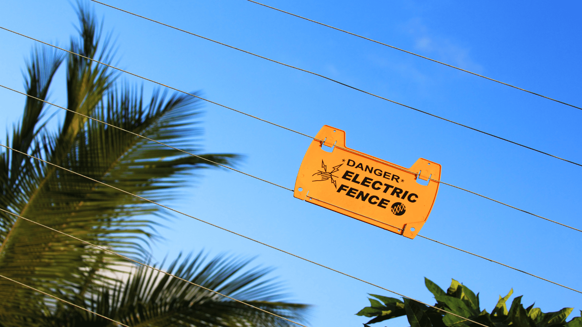 Sistema de cerca eléctrica perimetral instalado por DISEP